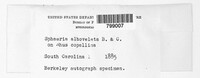 Image Associated With the Occurence